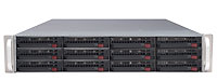 Intel Xeon Iris 225-12 2U Server